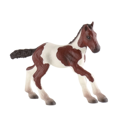 Poulain Paint Horse