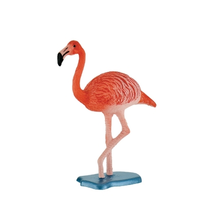 Flamant Rose