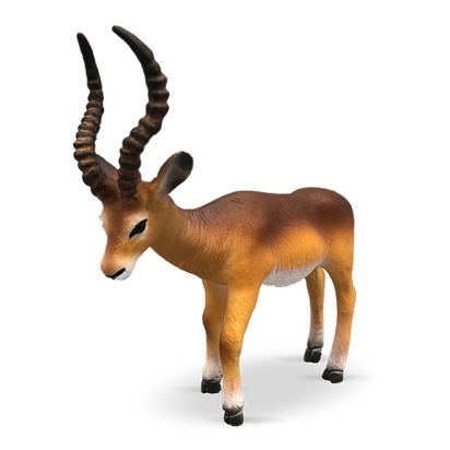 Antilope impala