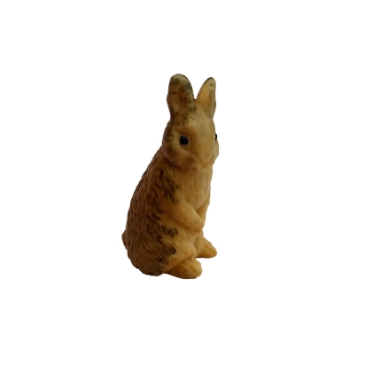 Micro lapin