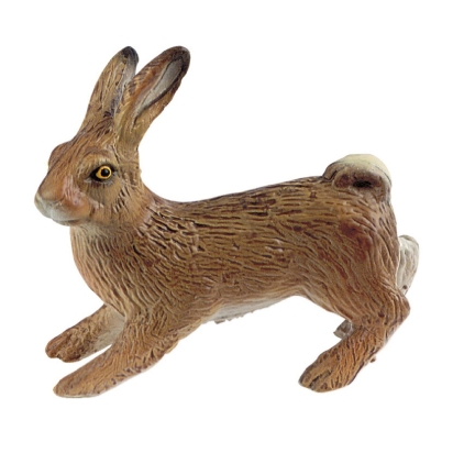 Lapin de garenne