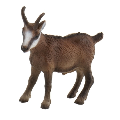 Chamois