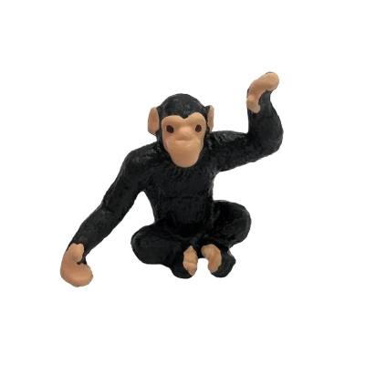 Micro Chimpanzé
