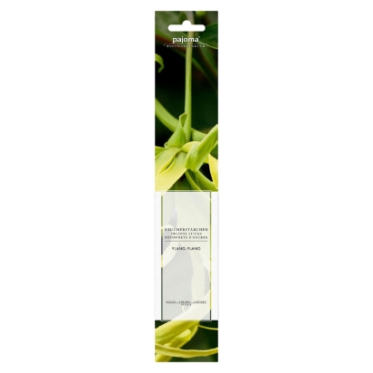 Encens / set de 10 batons Ylang-Ylang