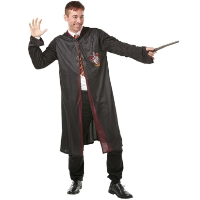 AM adulte Harry Potter + Baguette STD