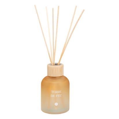 Diffuseur de parfum Sana 150 ml Terre de