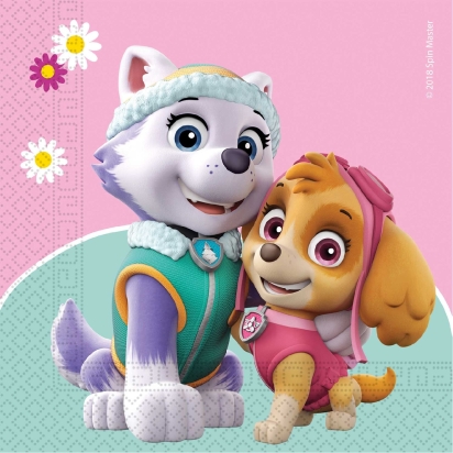 Paw Patrol Serviettes en papier