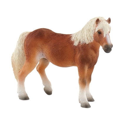 Jument Haflinger