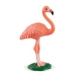 NB Flamant rose
