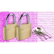 Case Lock (Twin Pack)