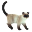 Chat De Gouttière Kimmy