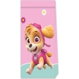 Paw Patrol Skye And Everest Sacs de fête