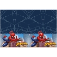 Spider-Man Crime Fighter Nappe en papier
