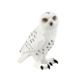 Hibou des neiges