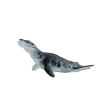 Liopleurodon moyen ML