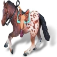 Appaloosa Mâle