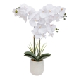 Orchidée Riva haut 60 cm avec pot cérami