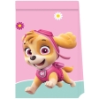 Paw Patrol Skye And Everest Sacs de fête
