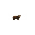 Ours Brun