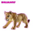 Lionne
