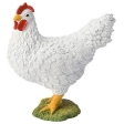 Poulet Blanc