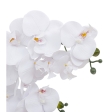 Orchidée Riva haut 60 cm avec pot cérami