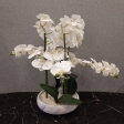Orchidée Artificielle Dans Pot