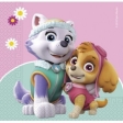 Paw Patrol Serviettes en papier