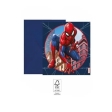 Spider-Man Crime Fighter Invitations et