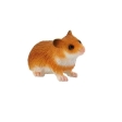 Hamster