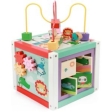 FISHER-PRICE Cube d'activités en bois 5e