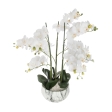 Orchidée Artificielle Dans Pot