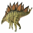 Stegosaurus Museum Line
