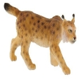 Lynx