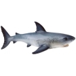 Requin Blanc