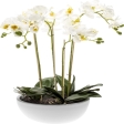 Orchidée Artificielle Dans Pot