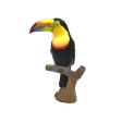 Toucan pêcheur