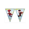 Spidey & His Amazing Friends Banderolle