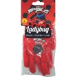 Paire de gants Ladybug