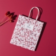 Sac cadeau merci pour cettre année 18x21