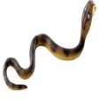Cobra