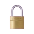 Case Lock (Twin Pack)