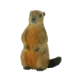 Marmotte