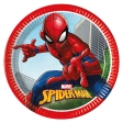 Spider-Man Crime Fighter Assiettes en pa