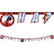 Miraculous Ladybug Bannière Joyeux Anniv