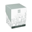 Bougie Parfumée Feuille D'Eucalyptus