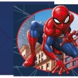 Spider-Man Crime Fighter Invitations et