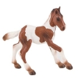 Poulain Paint Horse