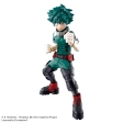 Entry Grade - My Hero Academia � Izuku M