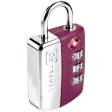 Travel Sentry Lock